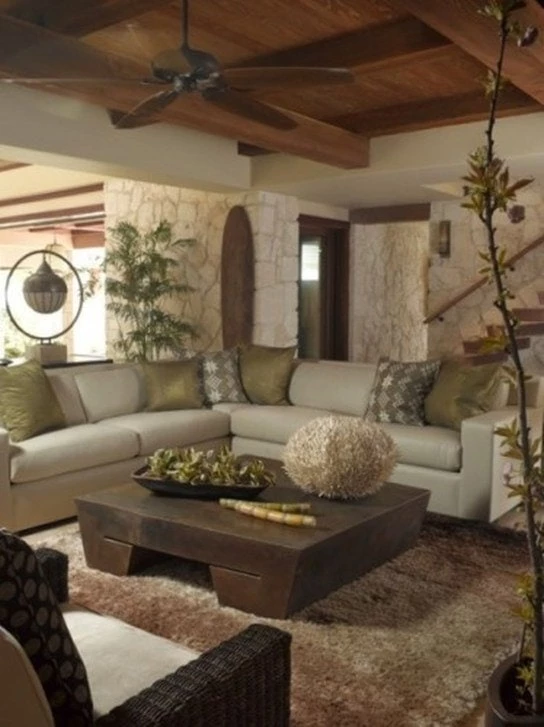 earthy living room ideas