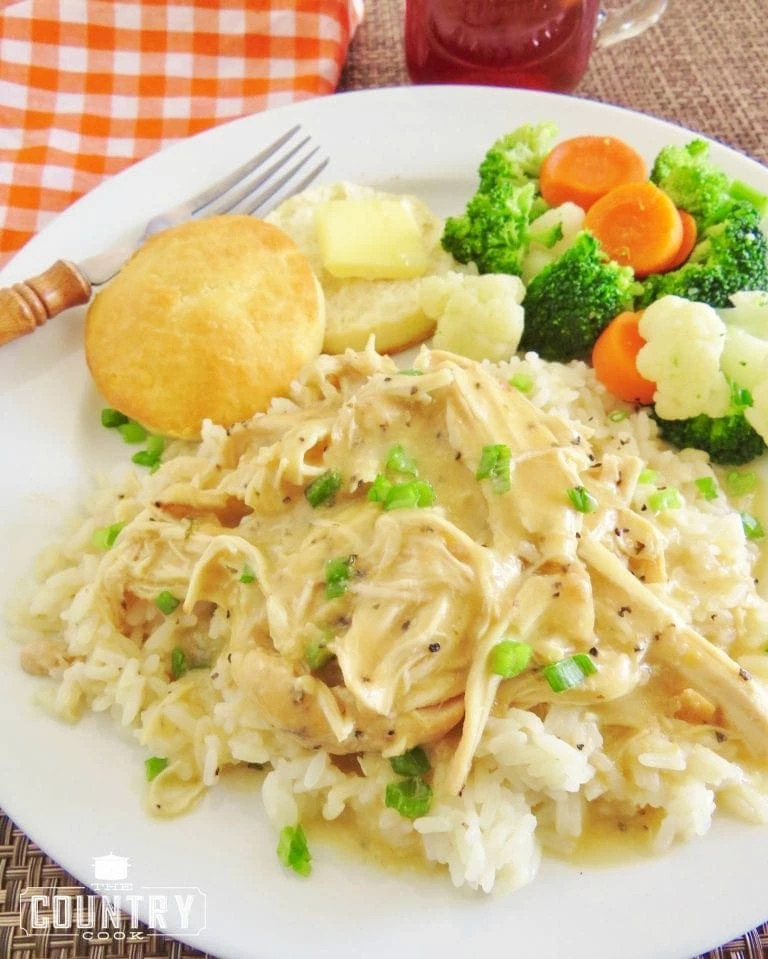 20 Slow Cooker Recipes - Crock Pot Chicken and Gravy