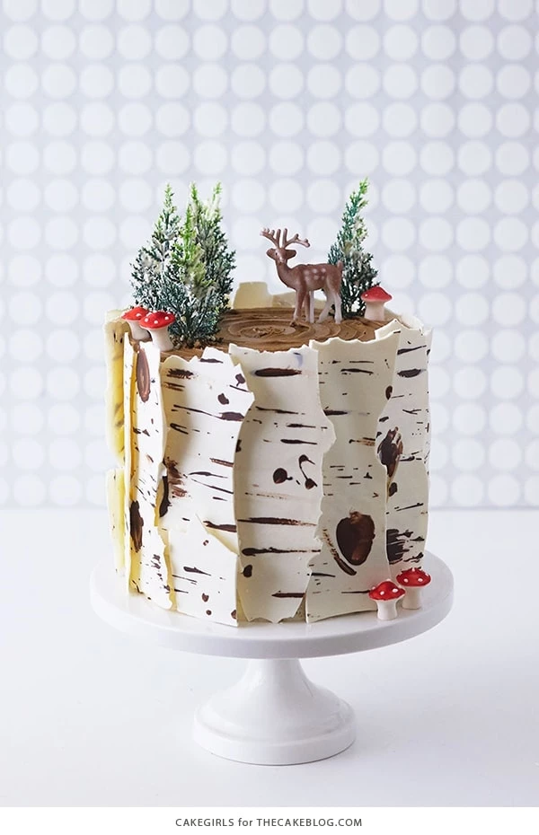13 Beautifully Decorated Cakes - Cake Decorating - Birch Log Cake