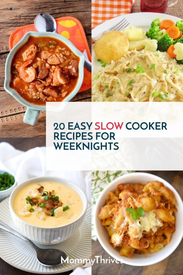 20 + Delicious Slow Cooker Recipes - MommyThrives