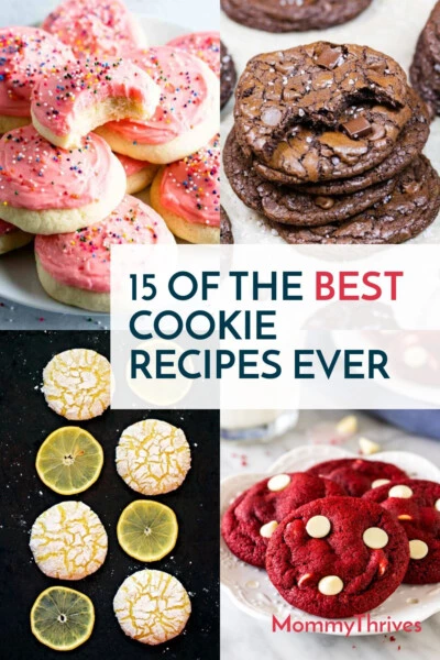 15 Of The Best Cookie Recipes Ever - MommyThrives