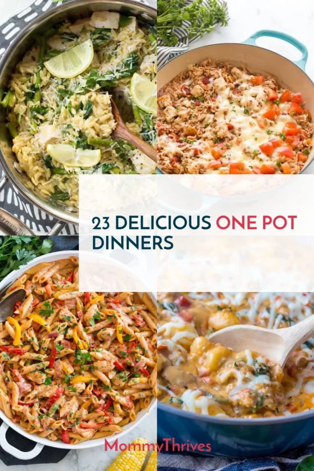 23 Delicious One Pot Recipes - MommyThrives